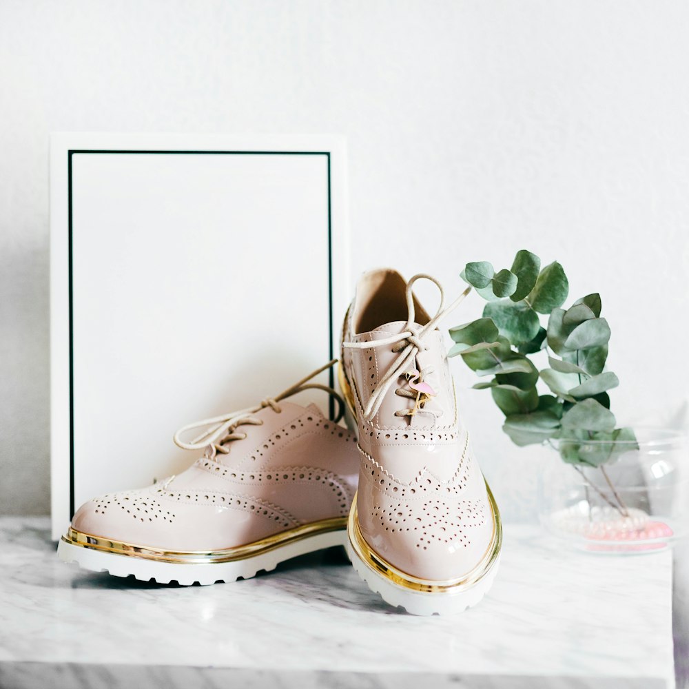 pair of shoes and white box near plant