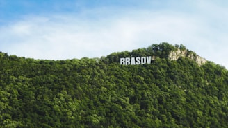 Large white letters spell out 'BRASOV' atop a lush, green, tree-covered hill with a blue sky in the background. The scene resembles a well-known cinematic sign.