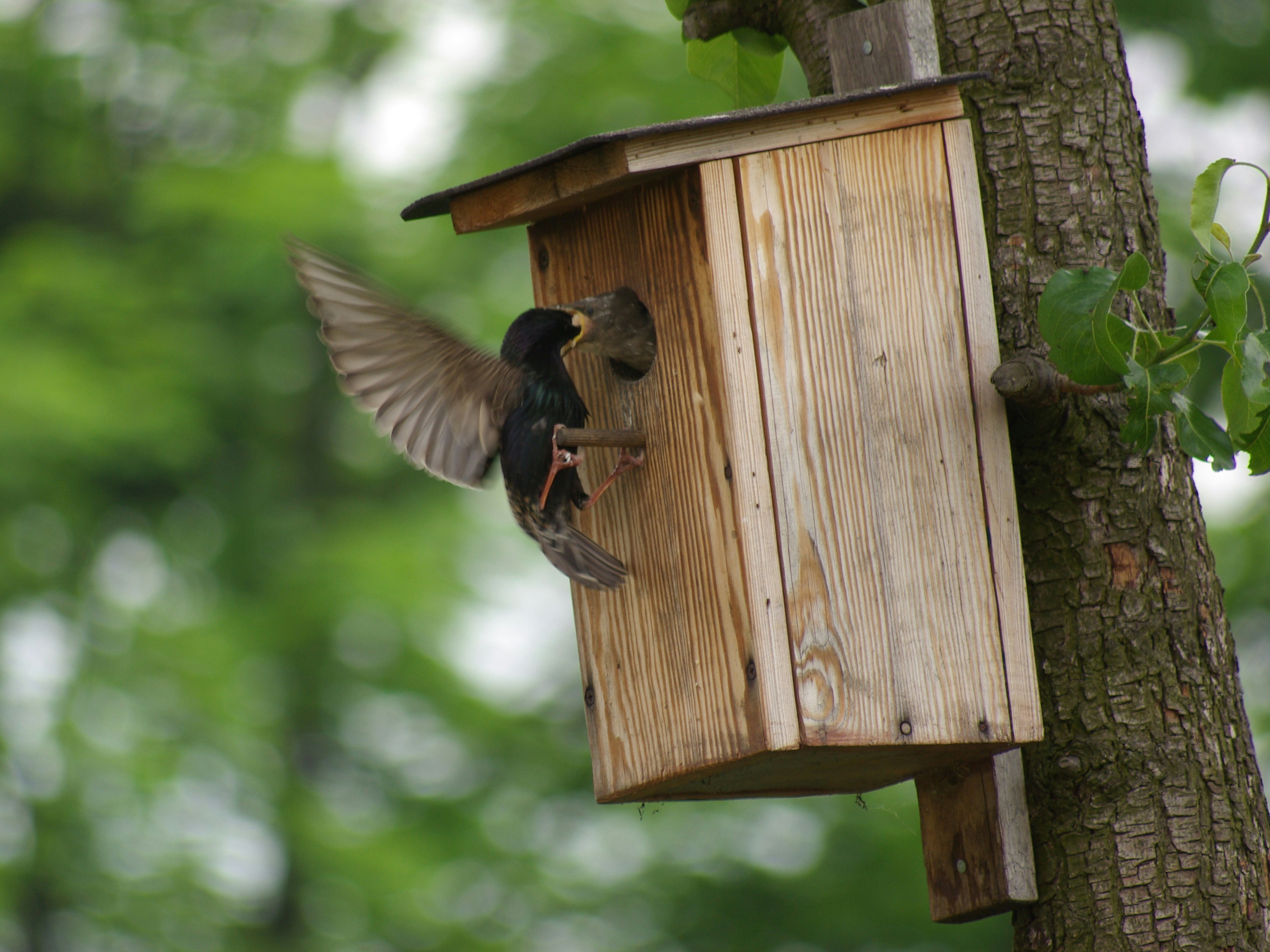 photo-1499029727058-db7c5671f135