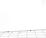 A section of netting appears stretched across the lower part of a largely blank, white background. Thin wires are visible, suggesting tension, with some knots or fastenings holding the netting in place.