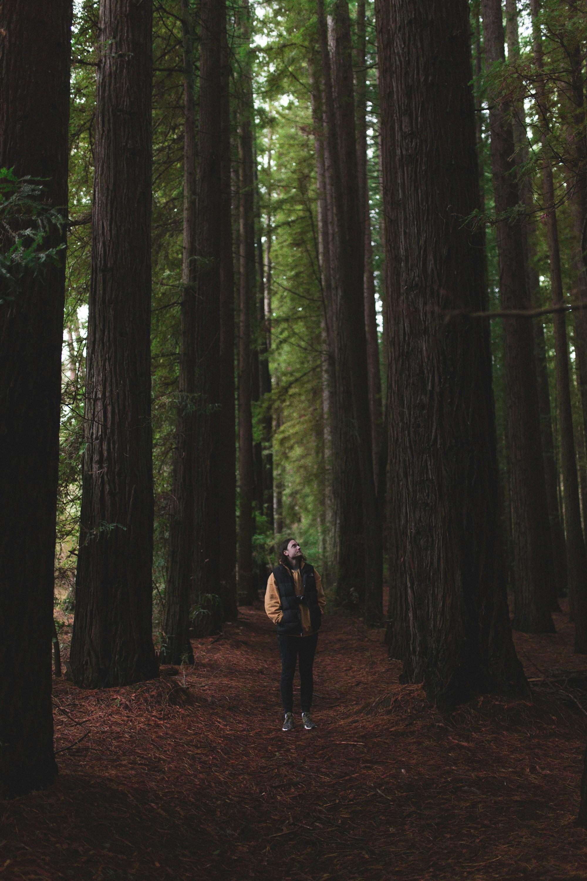 超好看的丛林冒险电影，超好看的丛林冒险电影推荐