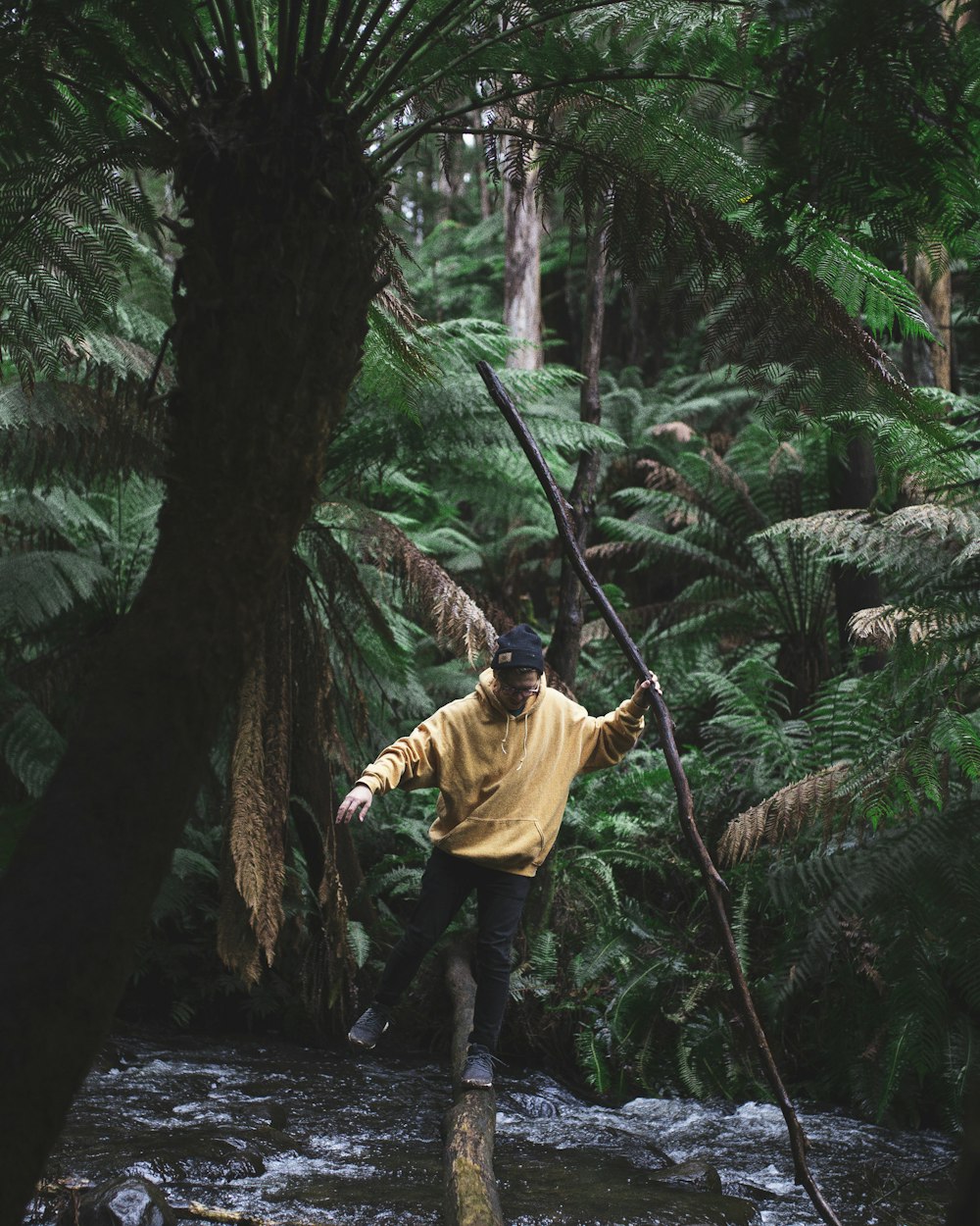 man crossing river surrounded by palm trees