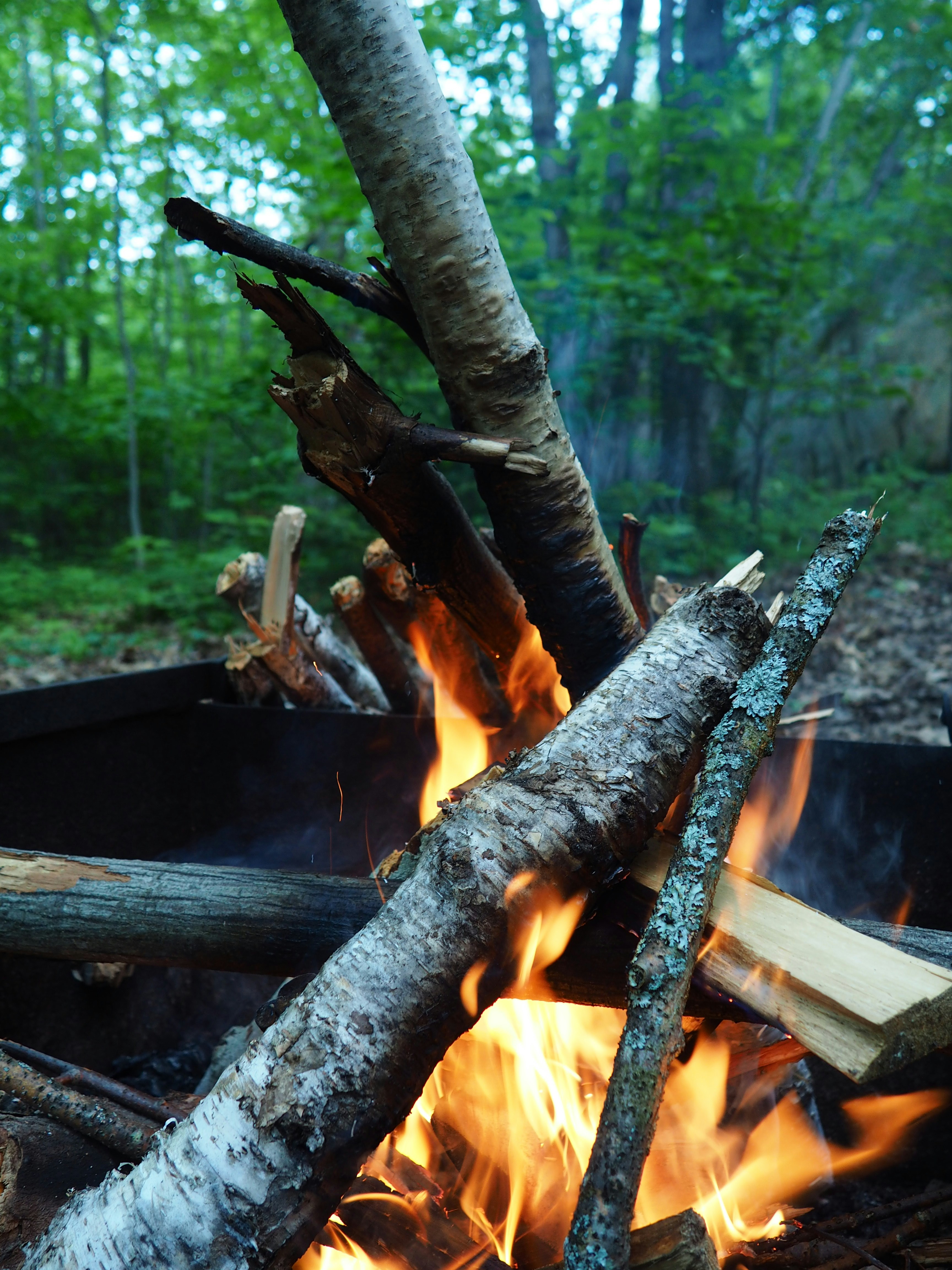 photo 1499052487688 19b32512d09a?ixlib=rb 4.0