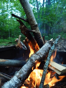 A rustic log holder stacked neatly with firewood beside a glowing fire pit.