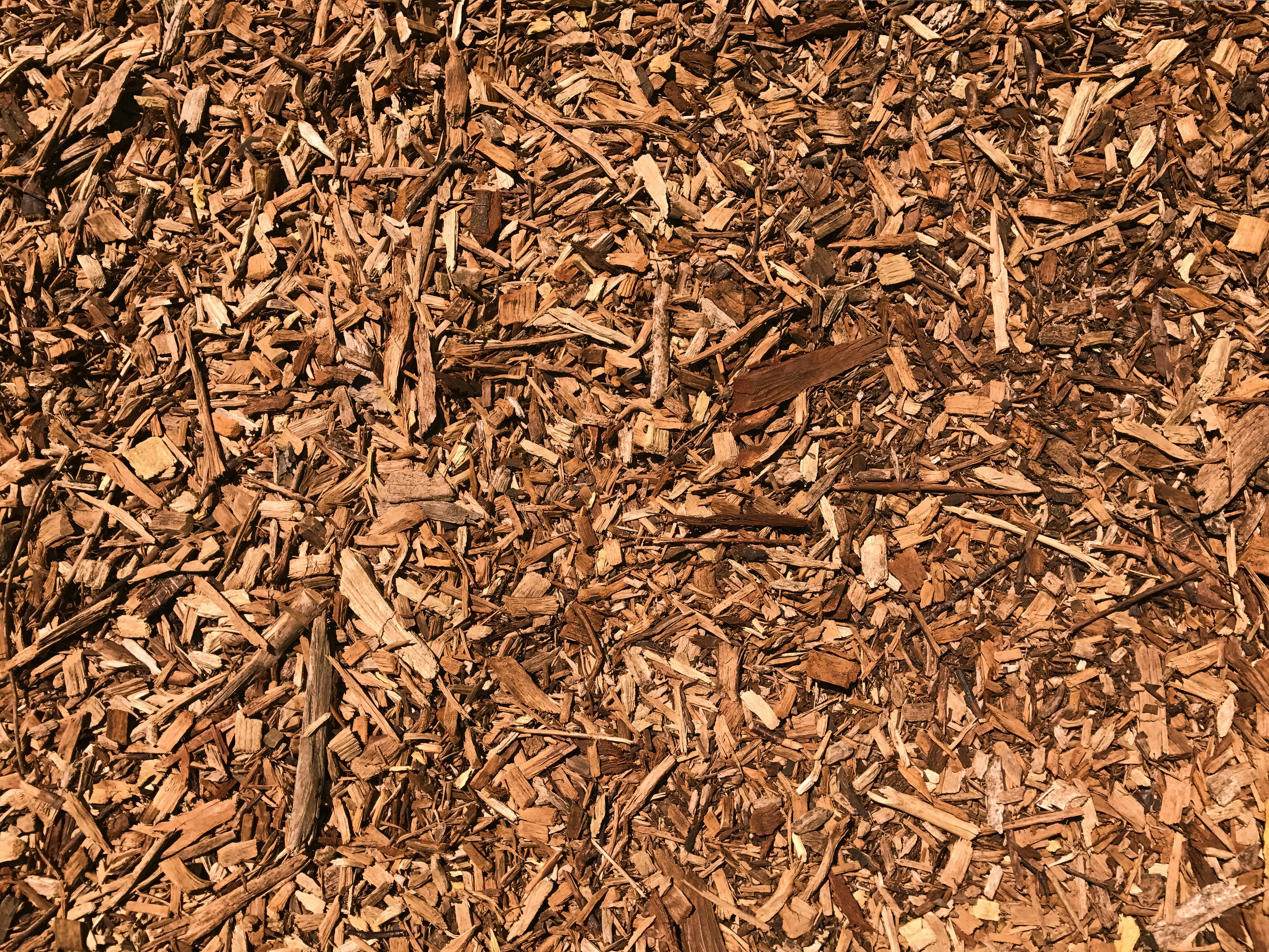 A Comprehensive Classification of Wood Chip Pelletizing Machines