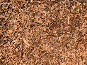 Close-up of wood chips and mulch left behind after grinding, ready for garden use