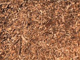 A close-up view of a pile of wood chips, displaying various sizes of shredded wood pieces in shades of brown.