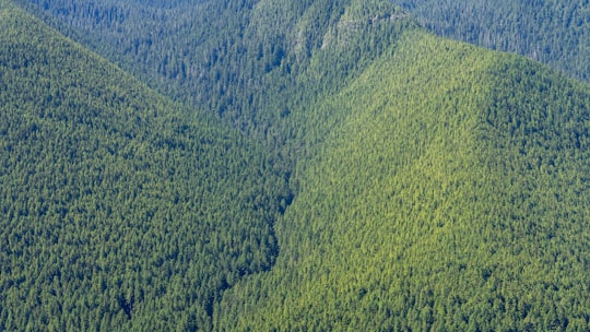 bird's eye view of green mountains in Lake Crescent United States