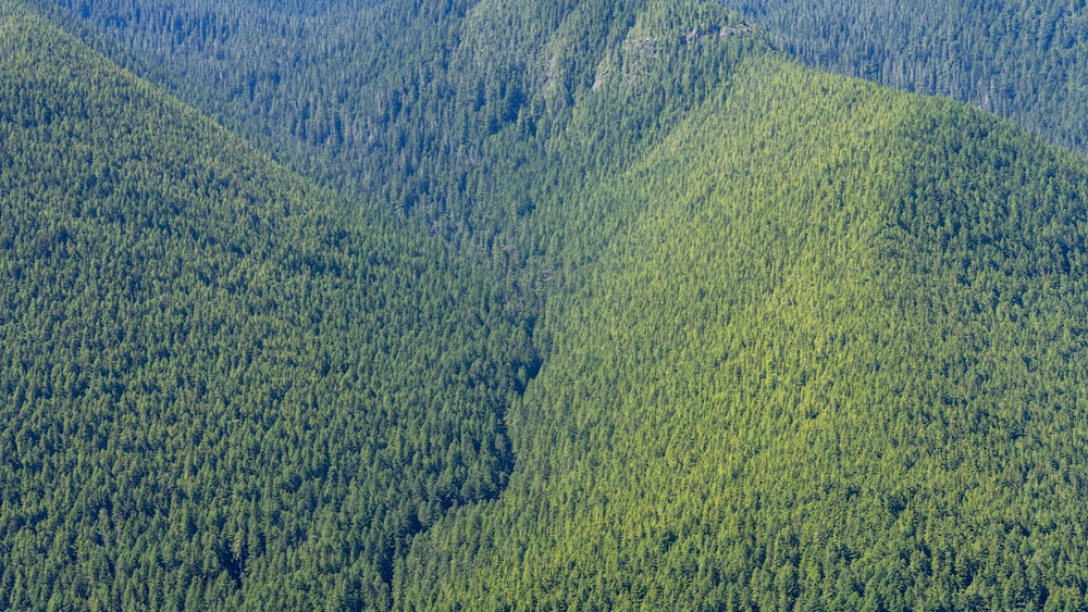 Blick aus der Vogelperspektive auf grüne Berge