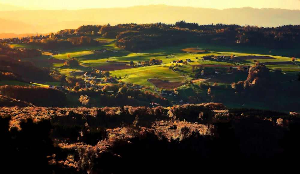 a scenic view of a green valley with trees in the foreground