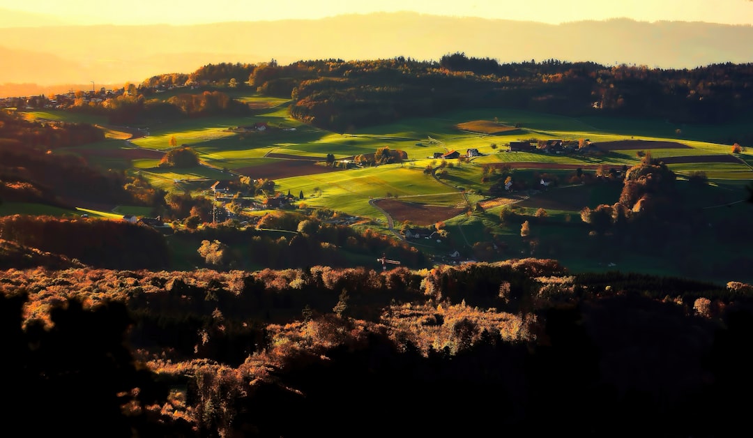 Plain photo spot Uetliberg Uster