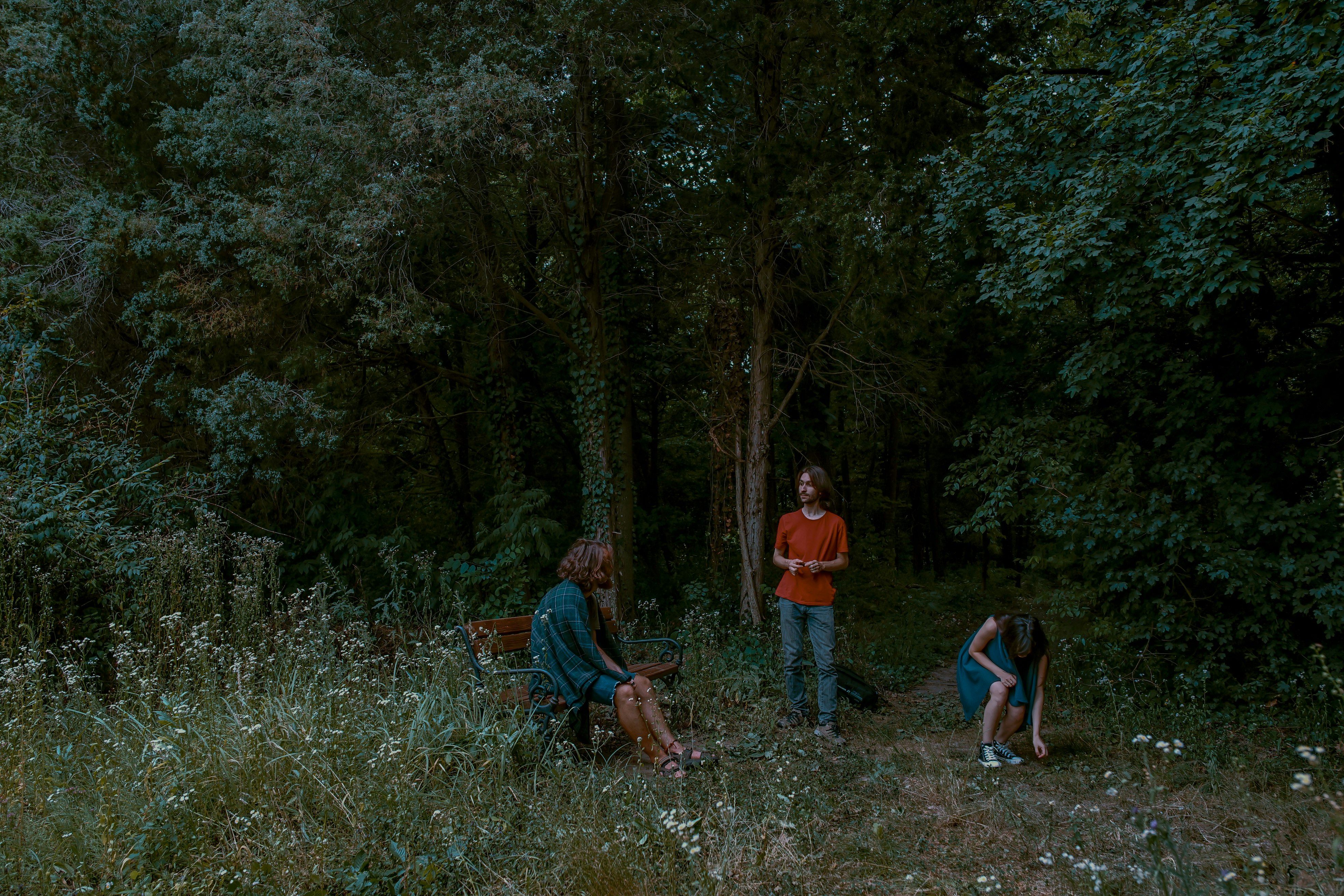 three person near trees