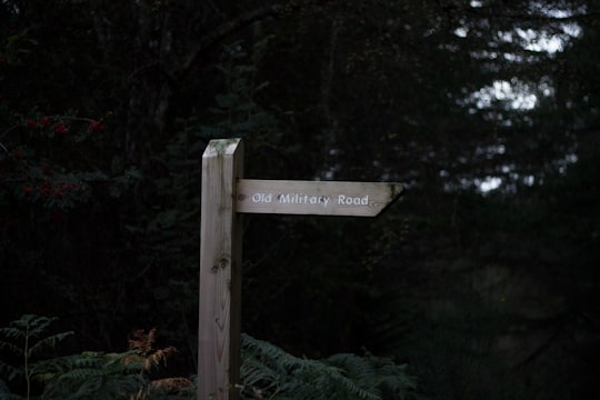 borwn wooden sign in Fort Augustus United Kingdom