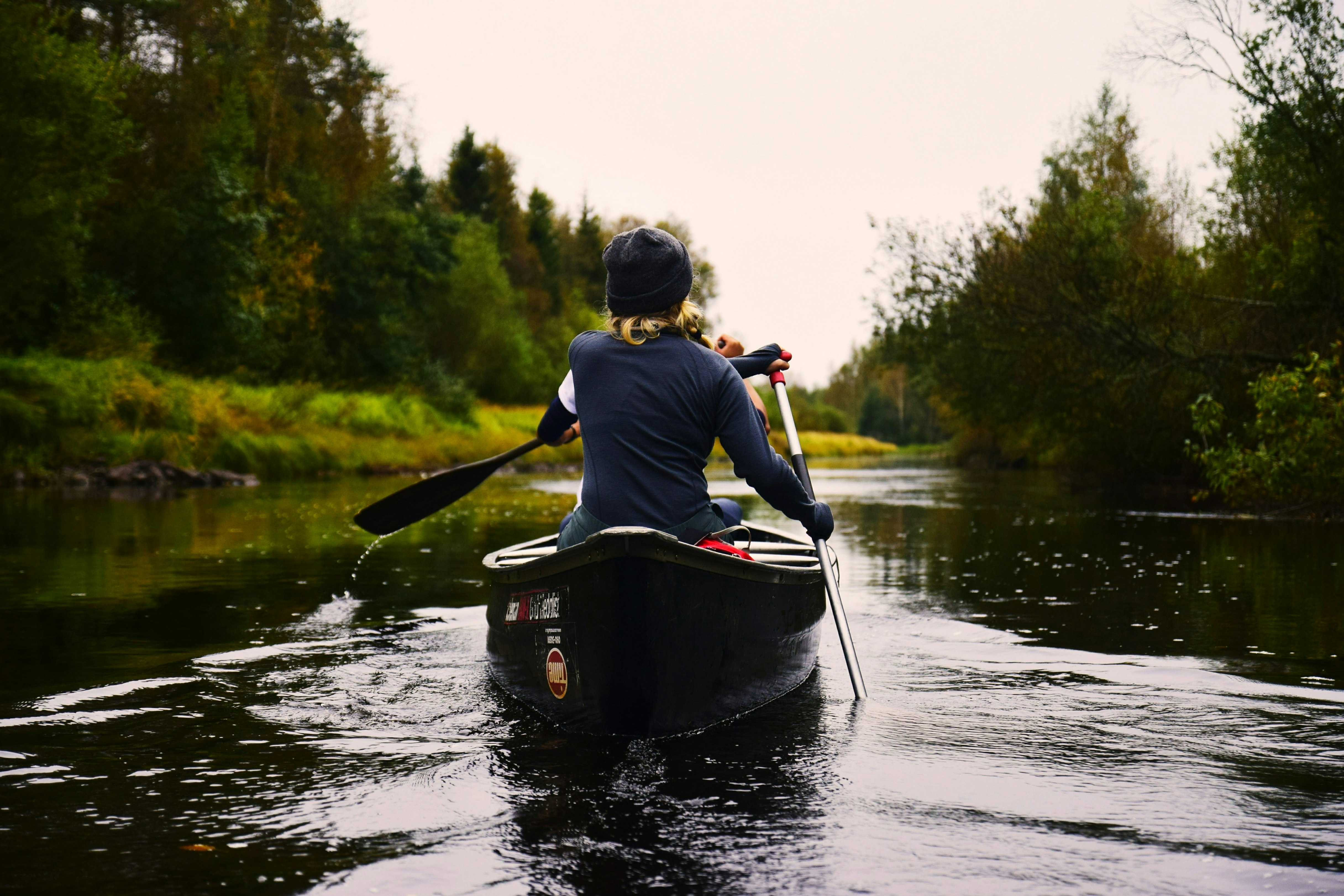 Boat travelling down a palm-lined canal