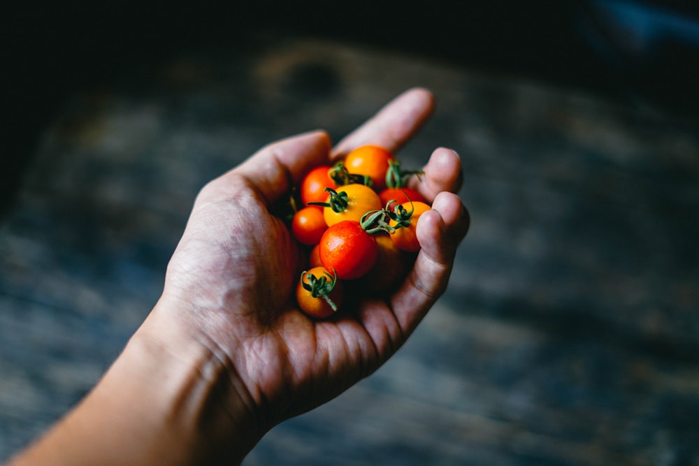 A hand holds orange, yellow, and red baby tomatoes over a grainy tabletop.