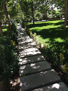 A cozy backyard pathway lined with natural woodchips under soft sunlight.