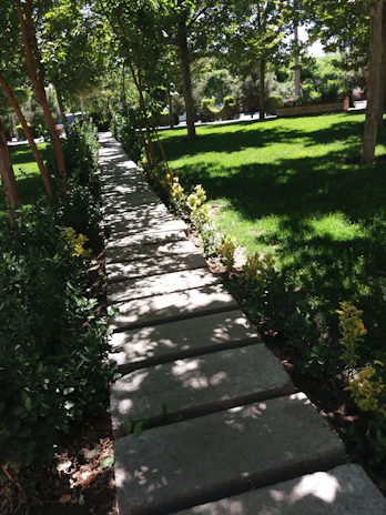 A cozy backyard pathway lined with natural woodchips under soft sunlight.