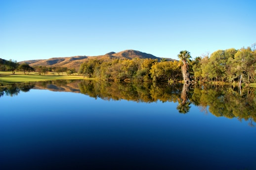 A serene landscape featuring a calm lake surrounded by lush greenery, symbolizing tranquility and mental well-being.
