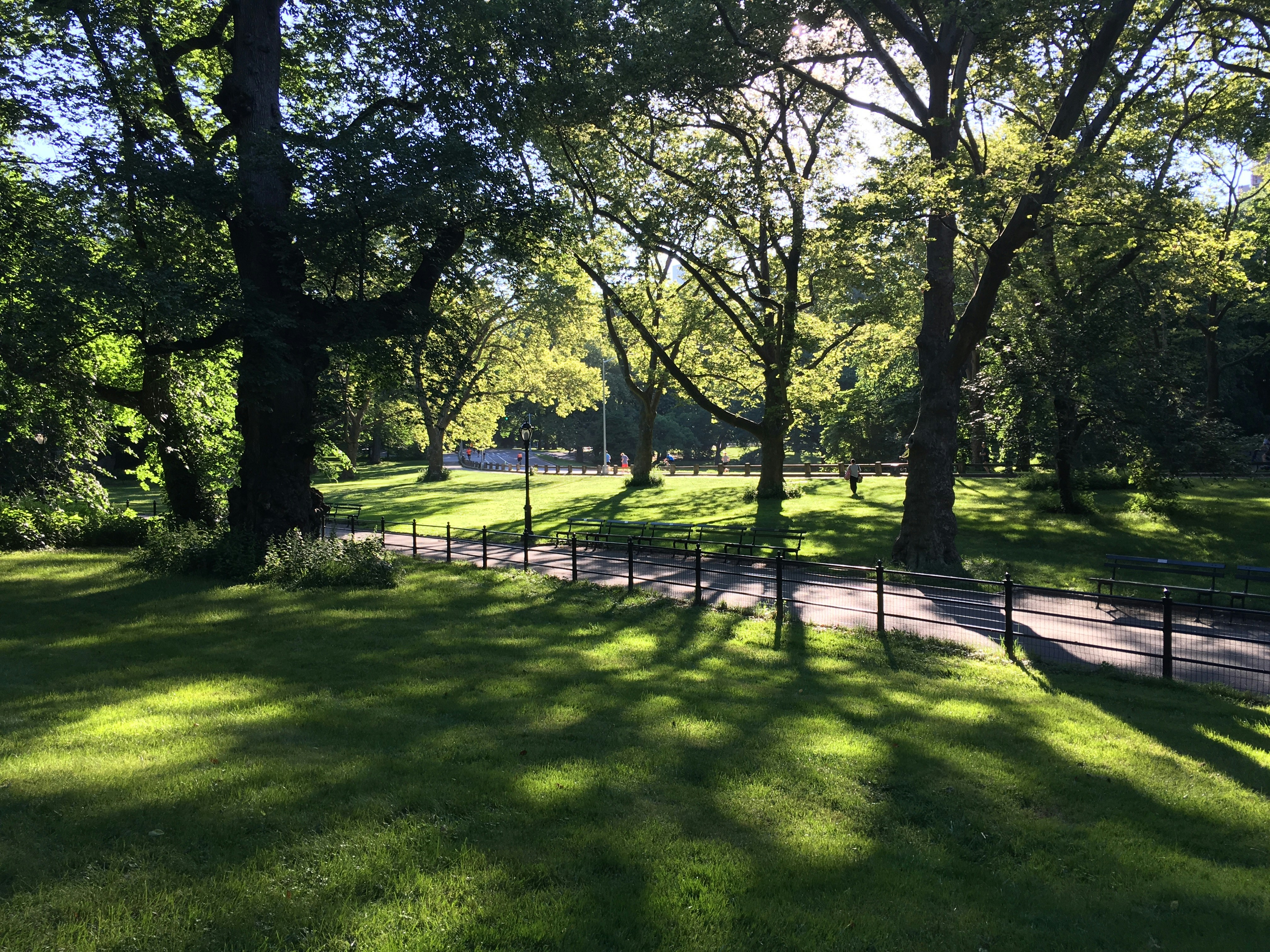 Open sunny park with green trees, wide pathways, and families enjoying outdoor space — bright, welcoming community environment