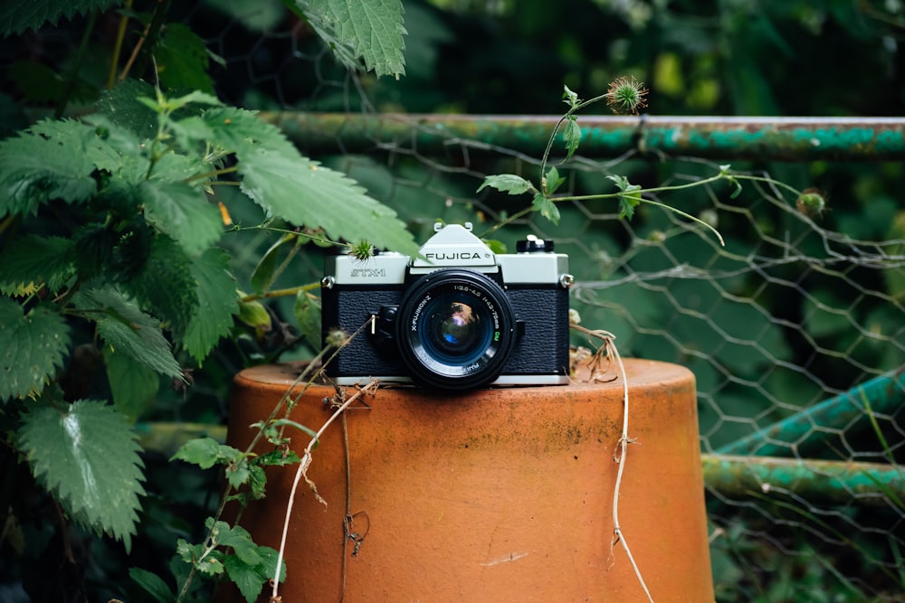 black and gray camera on flowerpot