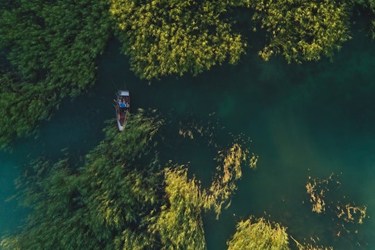 aerial photography of borwn boat on river during daytime in Csopak Hungary