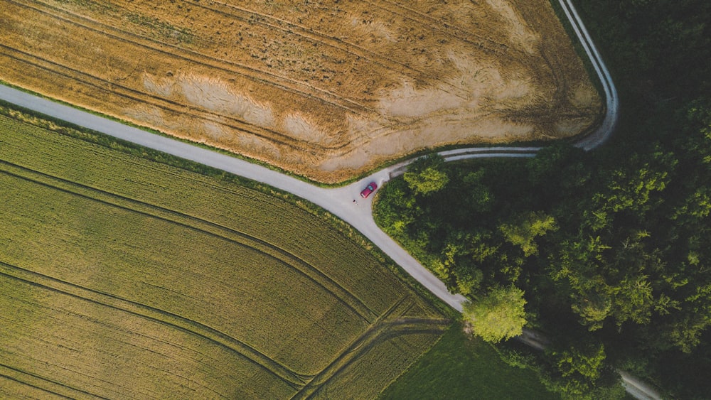 Luftaufnahme von grünen und beigen Feldern bei Tag