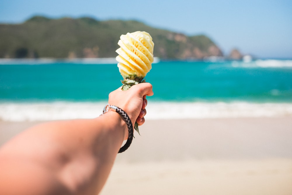 Selektive Fokusfotografie einer Person, die Obst in der Nähe des Strandes hält