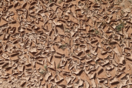 A close-up view of cracked and dry earth with scattered bits of green vegetation. The ground appears desiccated, forming a pattern of irregular shapes and fractures typically found in arid, drought-affected environments.