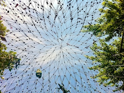 Intricate network of wires forming a geometric pattern against a backdrop of clear blue sky, with some leafy tree branches visible on the edges. Some objects are suspended within the network.