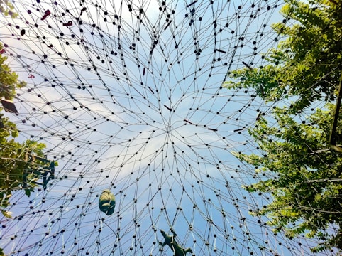 Intricate network of wires forming a geometric pattern against a backdrop of clear blue sky, with some leafy tree branches visible on the edges. Some objects are suspended within the network.