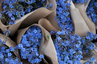 Bundles of vibrant blue flowers wrapped in brown paper, creating a visually appealing contrast between the bright blooms and the neutral wrapping. Each cluster shows delicate petals and intricate details, suggesting careful arrangement and freshness.