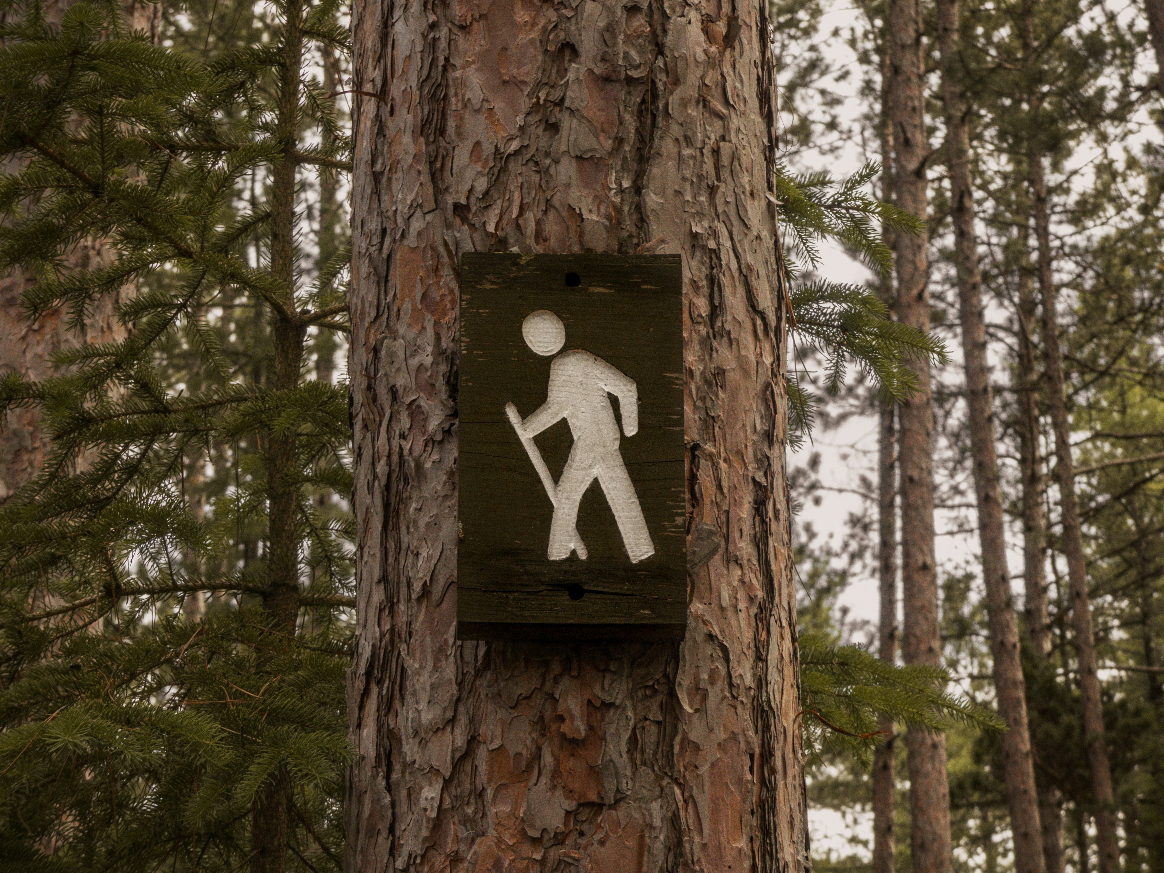 Eco-friendly trekking