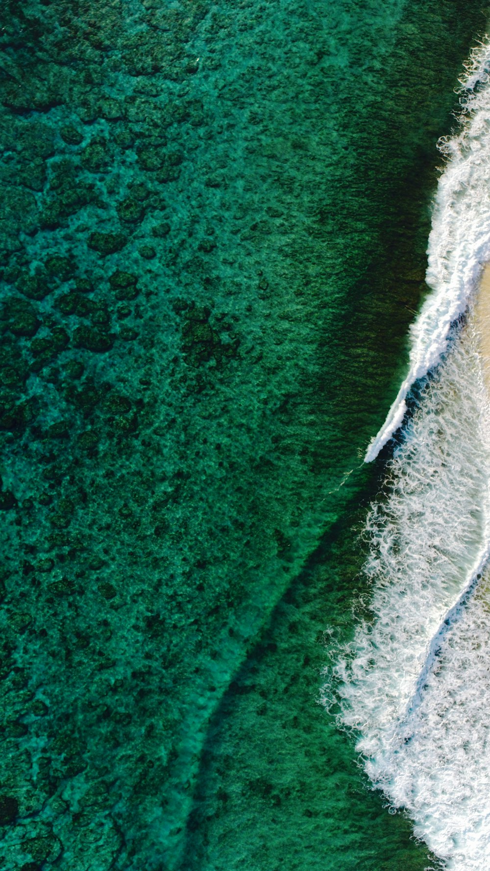 Fotografía a vista de pájaro de ola de agua en la orilla del mar