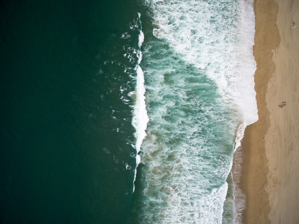 aerial photo of beach seashore