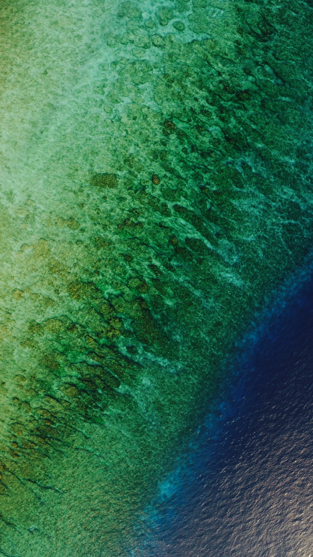 photo aérienne de mer verte et bleue