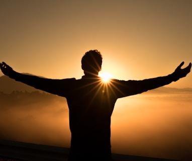 silhouette photo of man on cliff during sunset