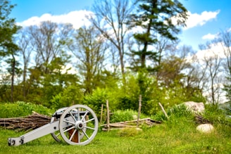 A peaceful view of Antietam National Battlefield under a clear blue sky with historic cannons in the foreground.