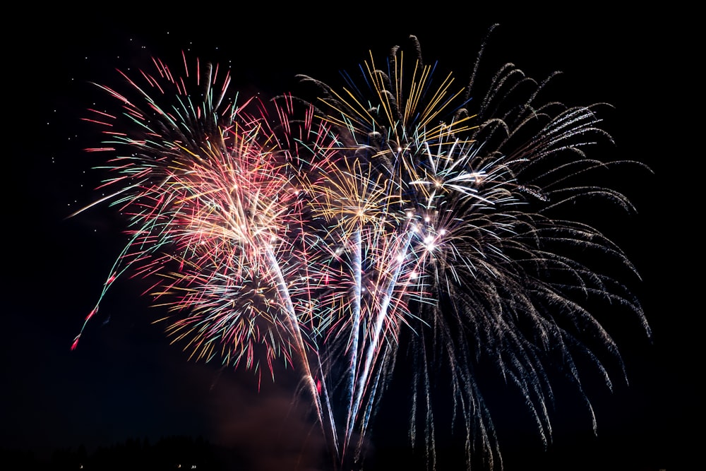 Fuegos artificiales por la noche