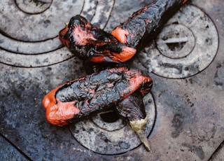 two orange-and-black cooked eggplants on gray stove