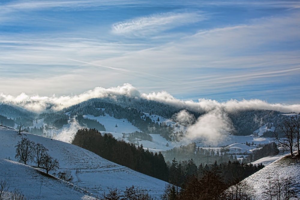 mountain filled with snow