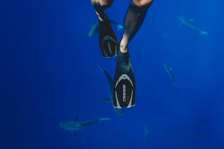 scuba diving gear - Fins