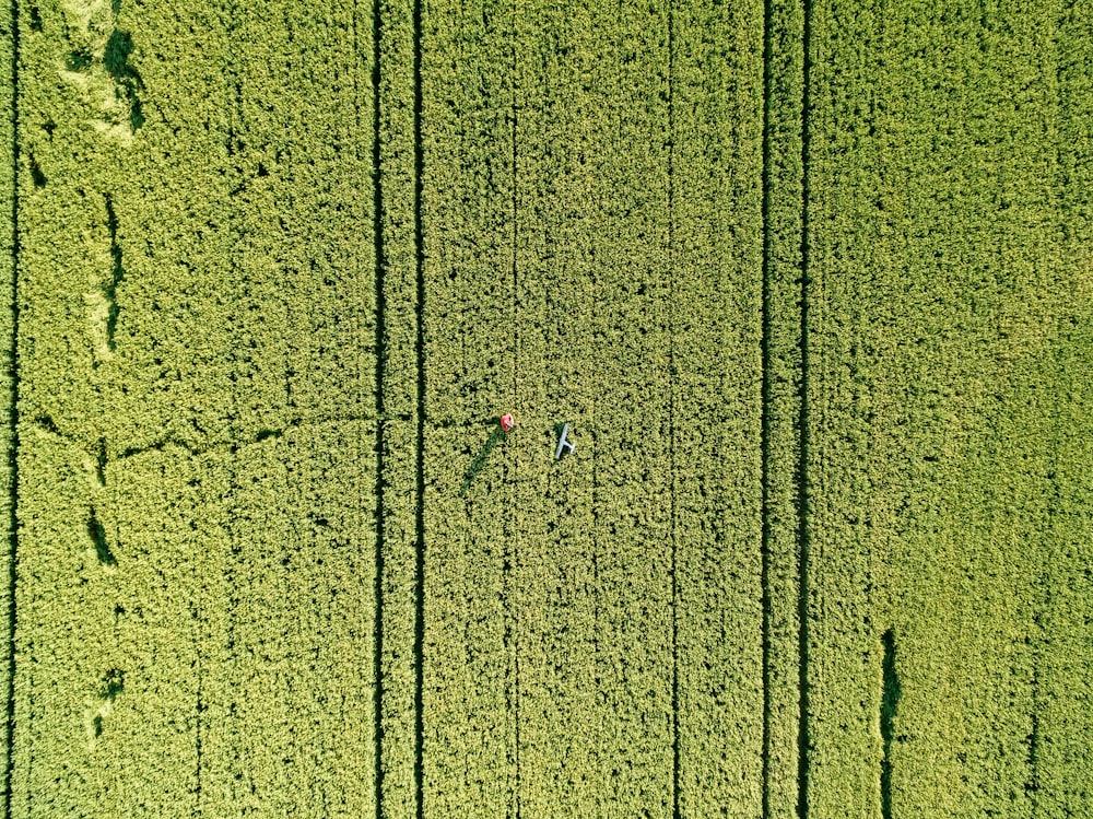 Vista aérea de la granja