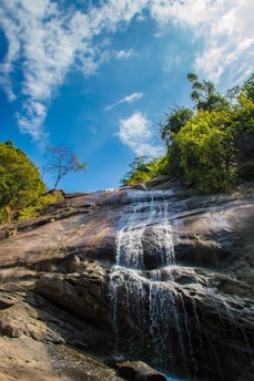 A serene waterfall cascading over rocky cliffs surrounded by lush cerrado vegetation under a clear blue sky.