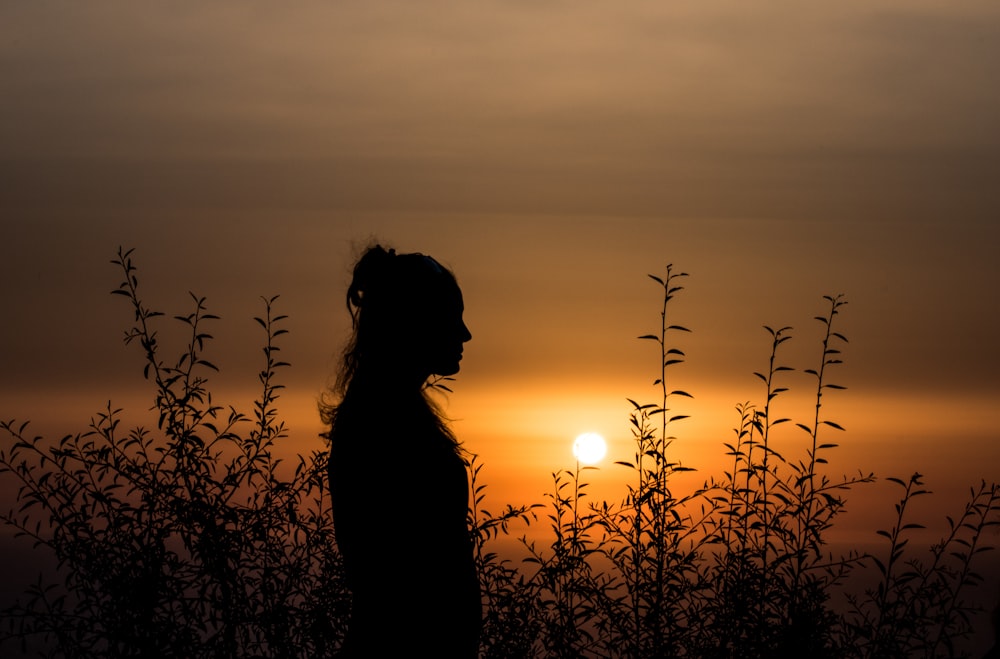 silhouette of person standing near plants