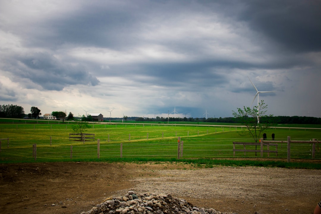 Farm grass. Облачная ферма.