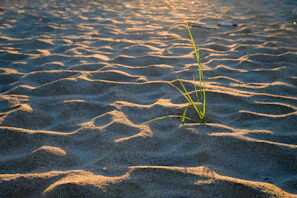 Golden sunlight casting long shadows over the salt pans at dawn.