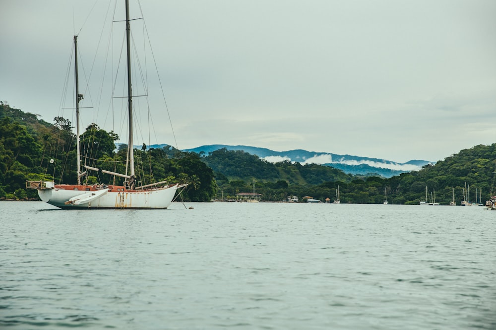 white boat on sea during daytime