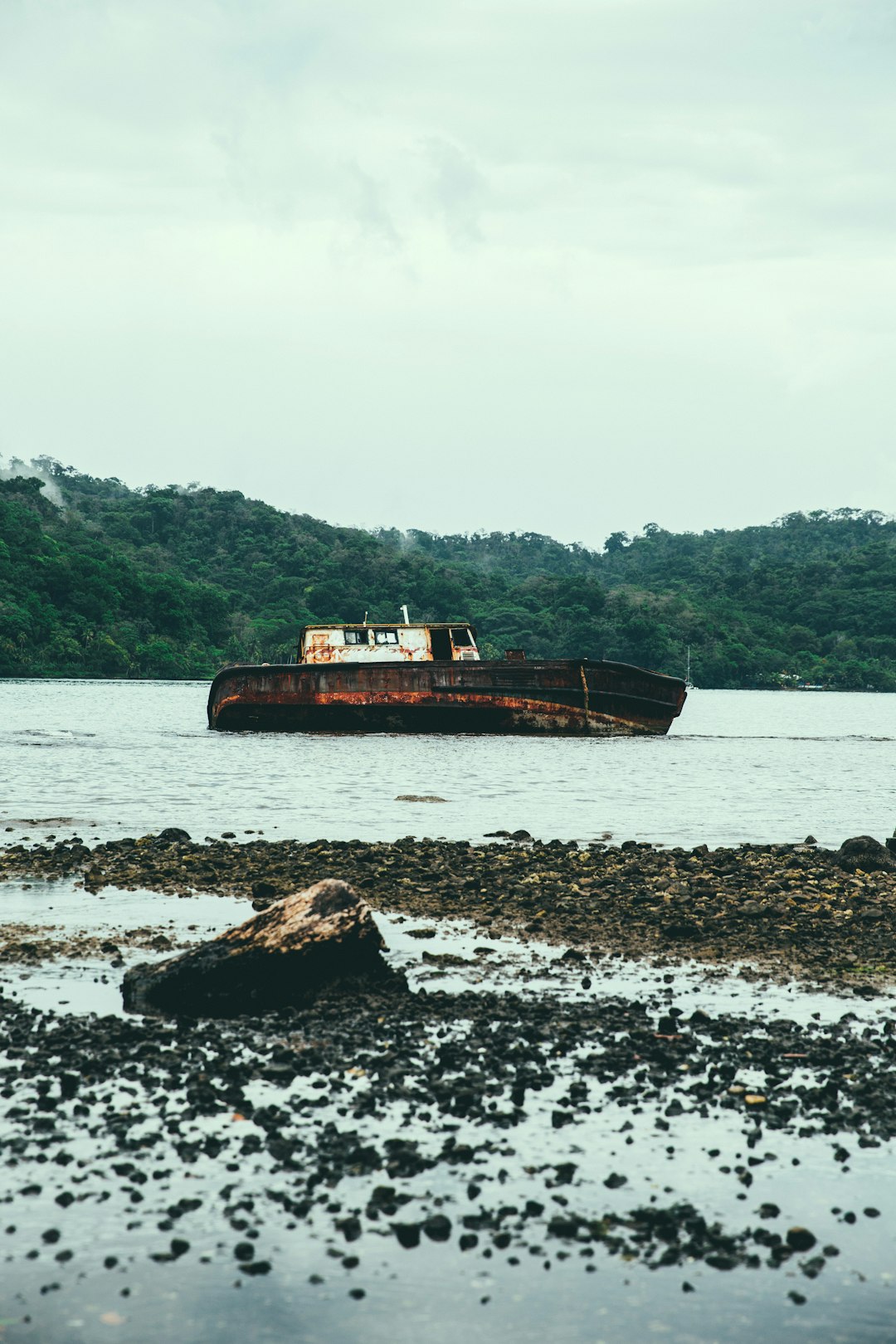 brown and white boat on sea shore during daytime