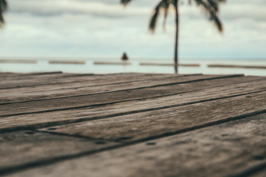 people on beach during daytime