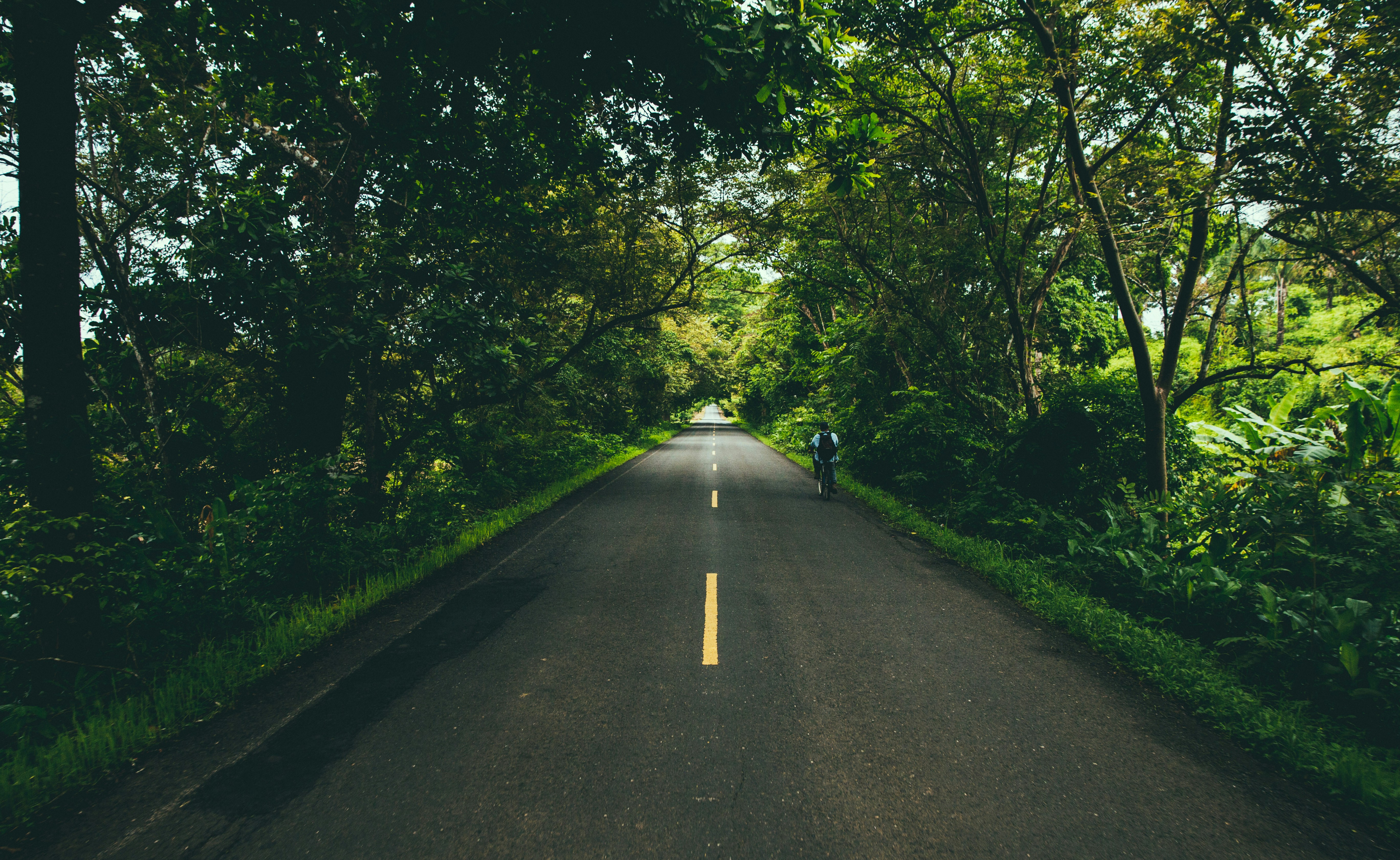 person in black jacket walking on gray concrete road between green trees during daytime, 